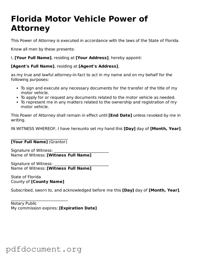 Blank Motor Vehicle Power of Attorney Form for Florida State