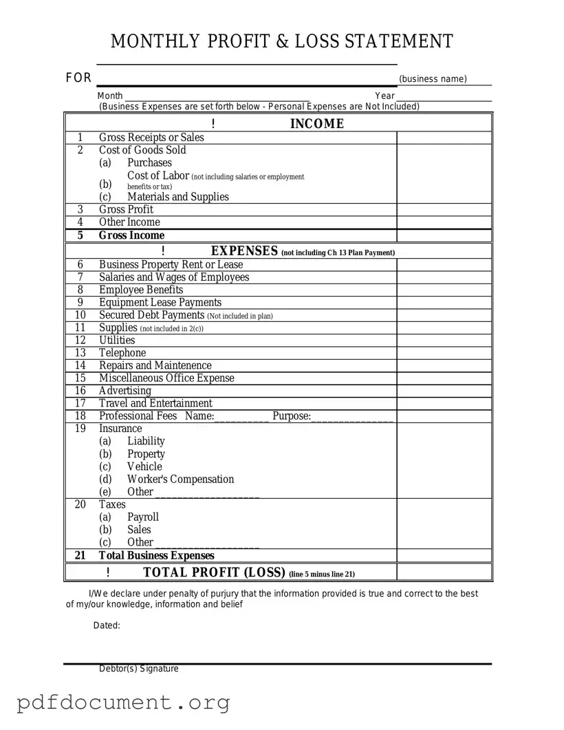 Fill Out Your Profit And Loss Form