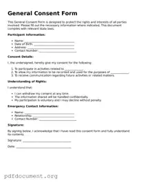 Attorney-Approved Consent Template