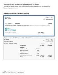 Fill Out Your Payroll Check Form