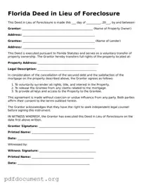 Blank Deed in Lieu of Foreclosure Form for Florida State