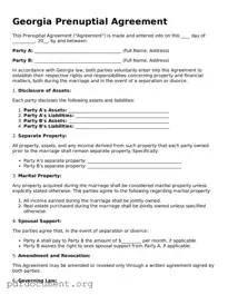 Blank Prenuptial Agreement Form for Georgia State