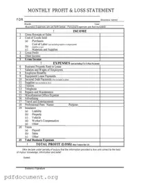 Fill Out Your Profit And Loss Form
