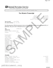 Fill Out Your Sample Tax Return Transcript Form