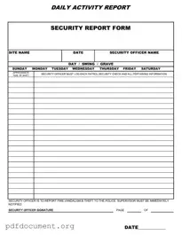Fill Out Your Security Guard Daily Report Sample Form