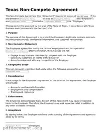Blank Non-compete Agreement Form for Texas State